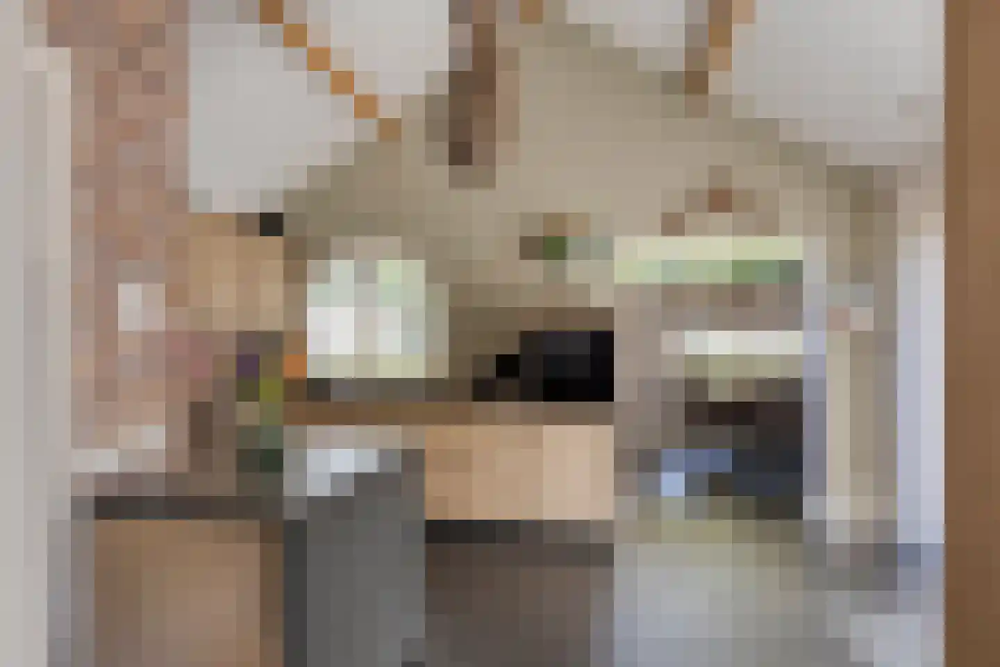 Hertenkampstraat 20 Mierlo thumbnail 18