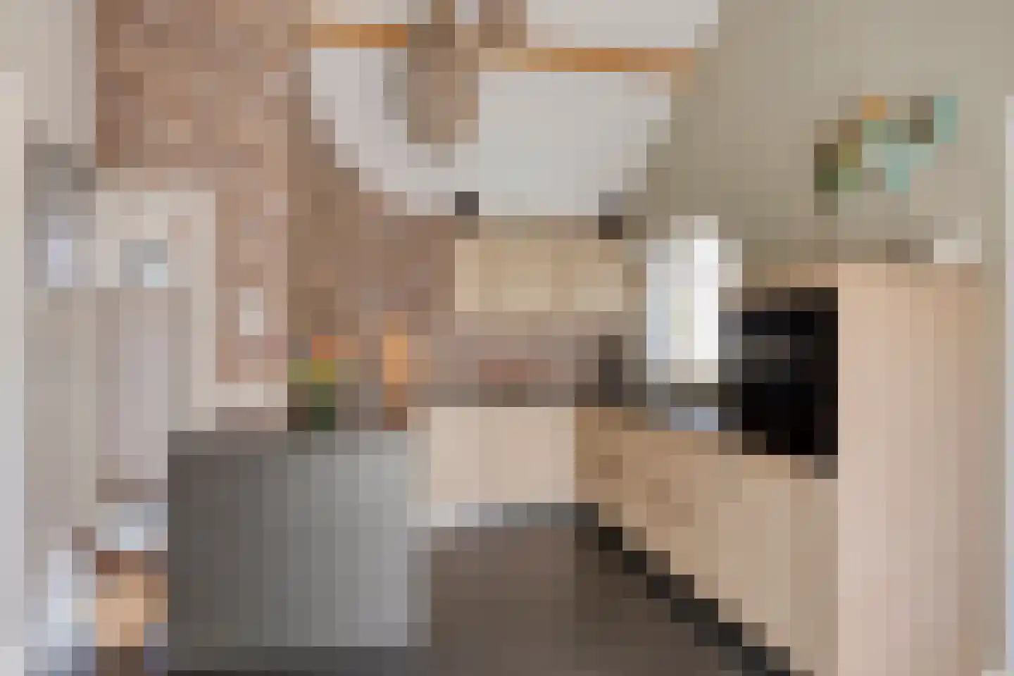 Hertenkampstraat 20 Mierlo thumbnail 19