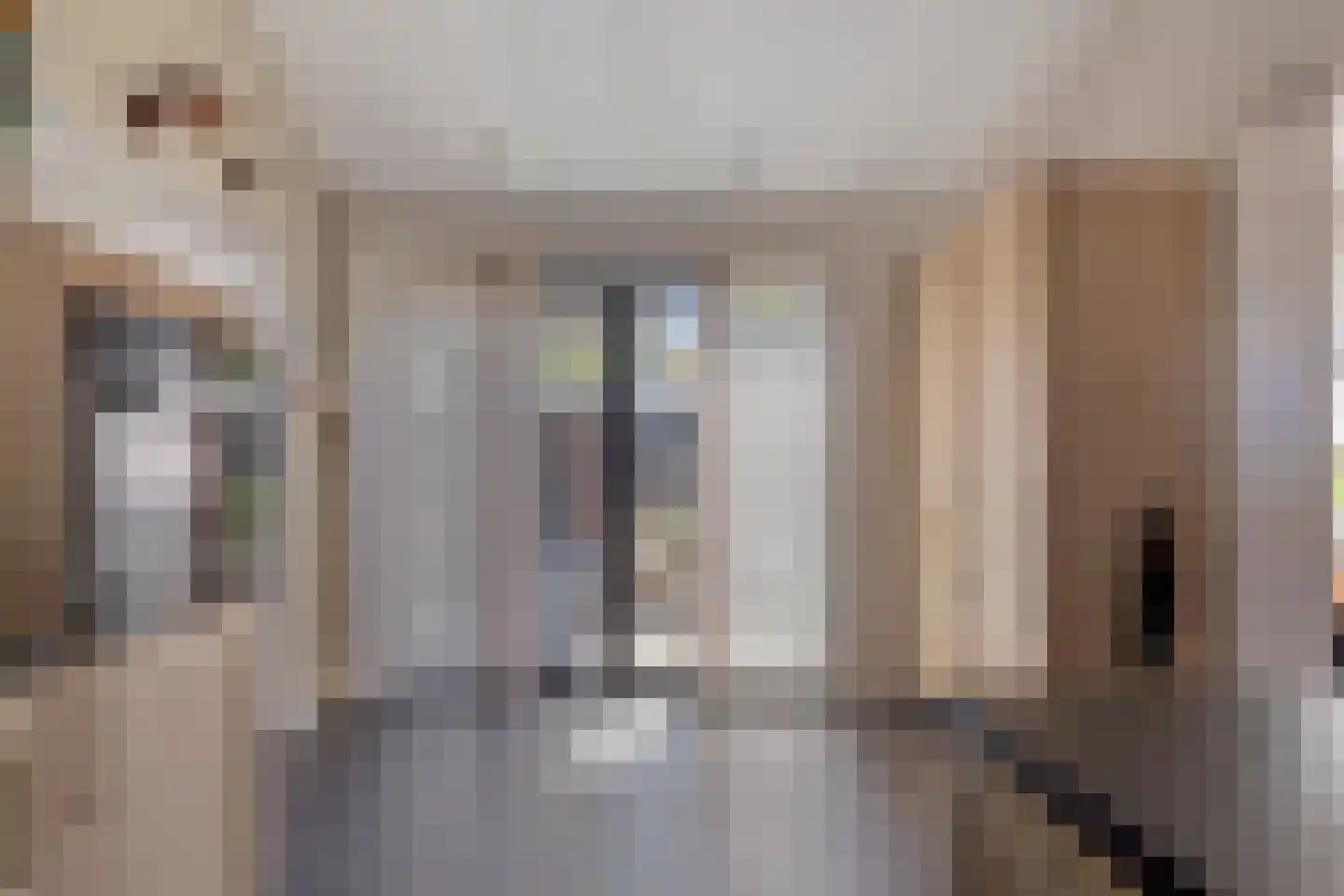 Hertenkampstraat 20 Mierlo thumbnail 25