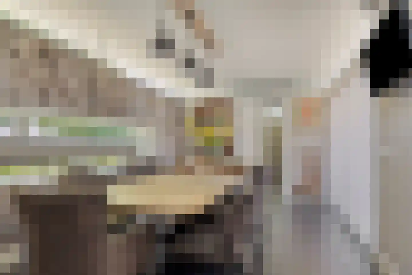Hertenkampstraat 20 Mierlo thumbnail 26