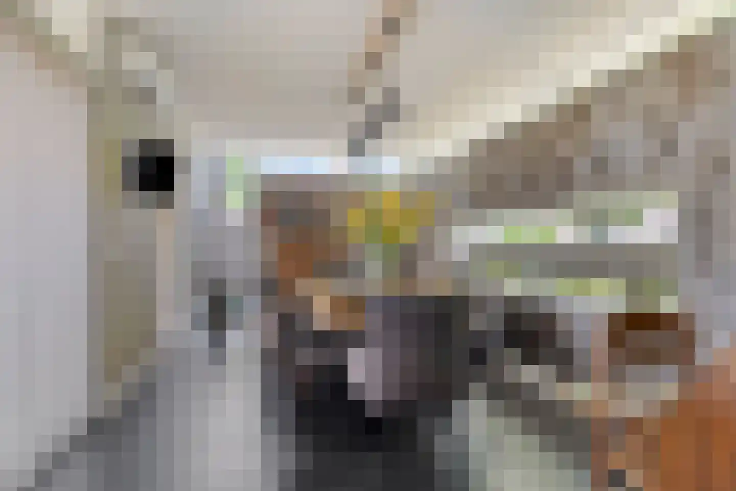 Hertenkampstraat 20 Mierlo thumbnail 27
