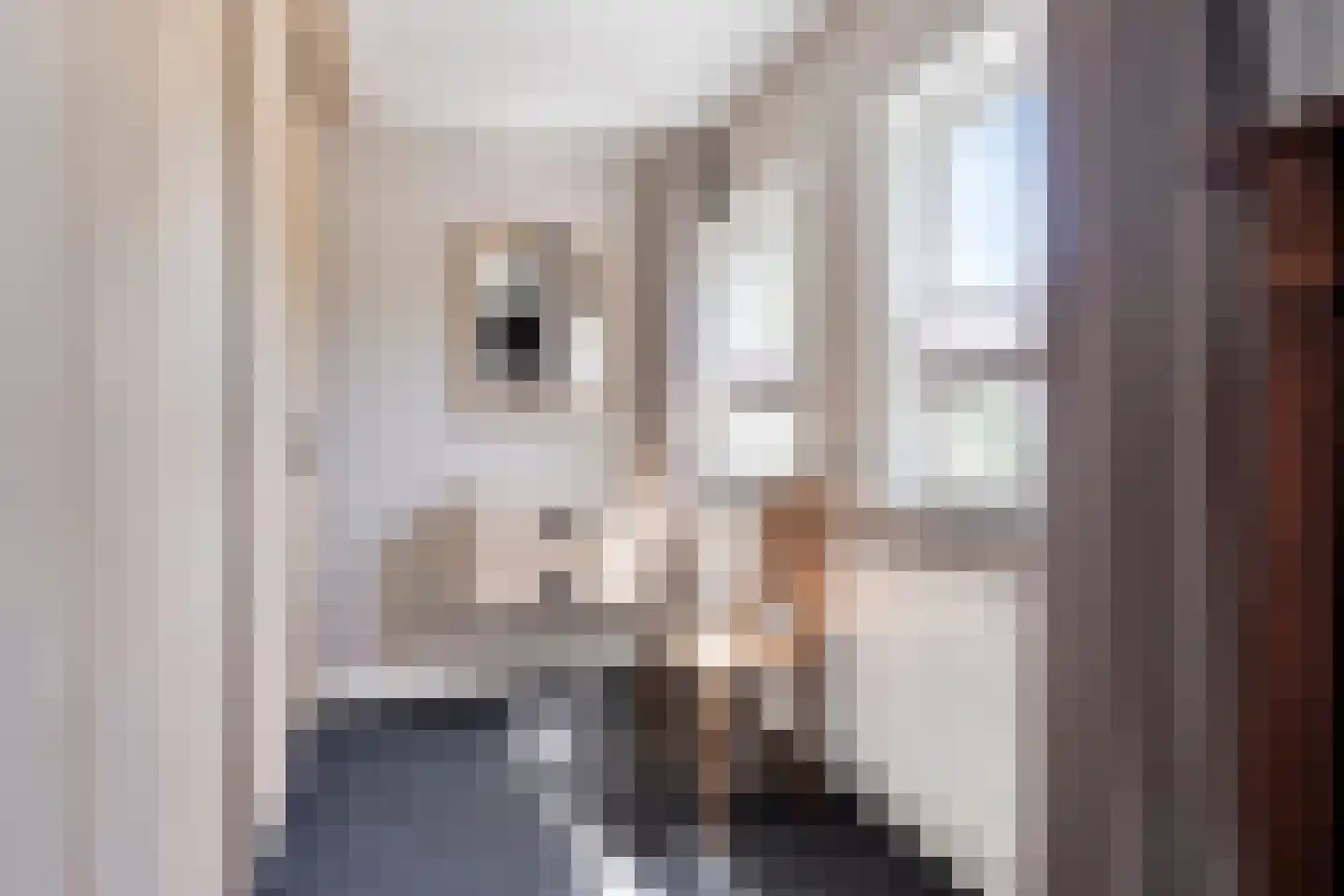 Hertenkampstraat 20 Mierlo thumbnail 36