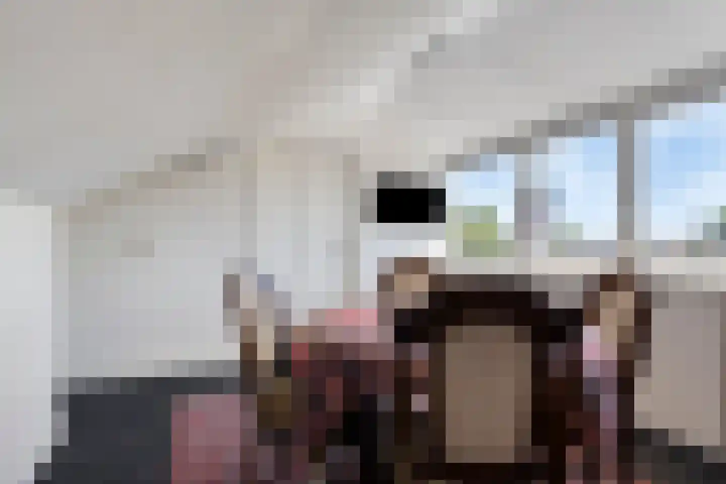 Hertenkampstraat 20 Mierlo thumbnail 44