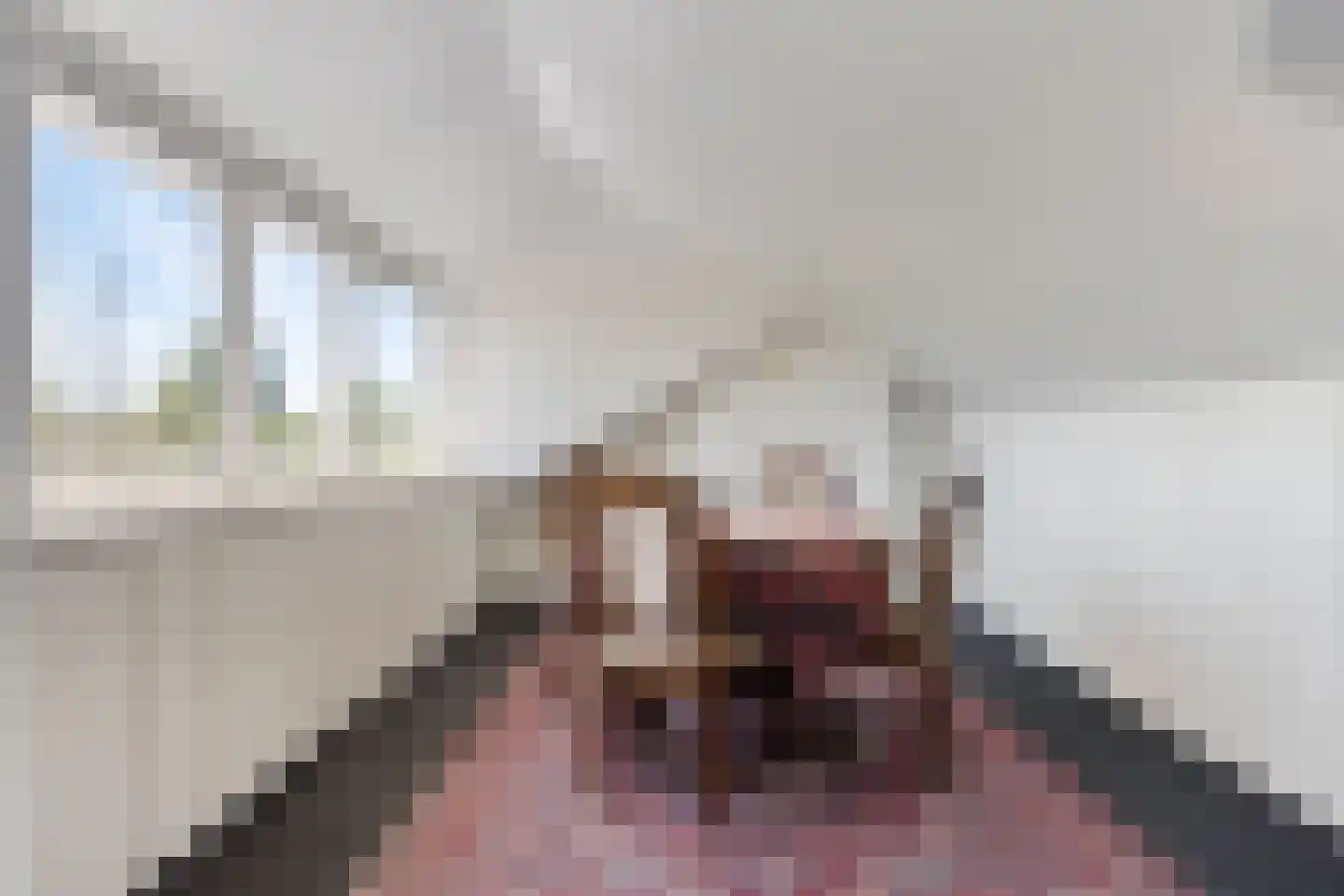 Hertenkampstraat 20 Mierlo thumbnail 46