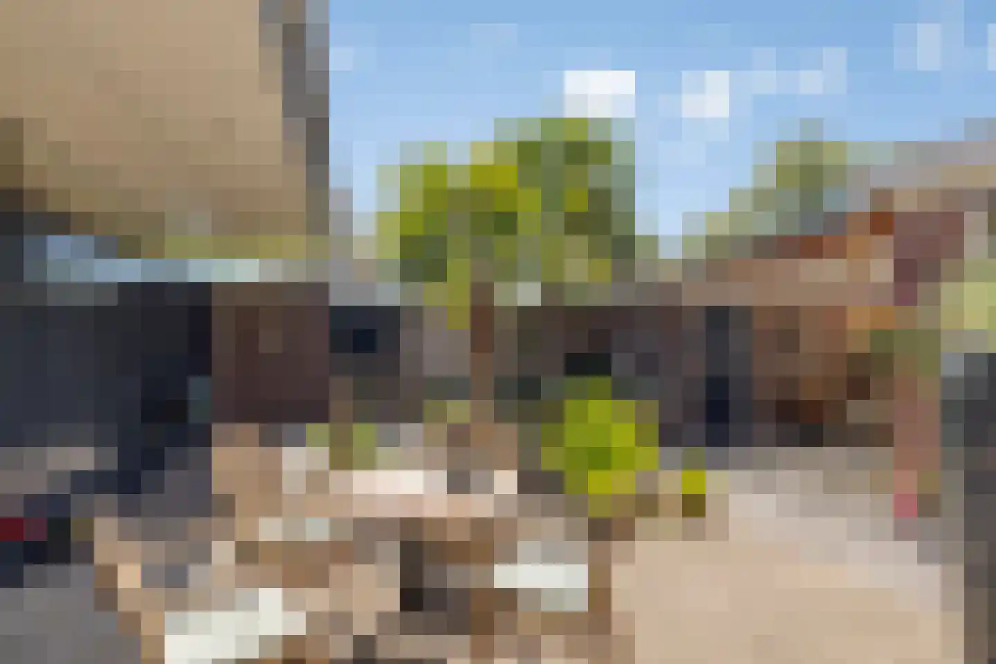 Hertenkampstraat 20 Mierlo thumbnail 48