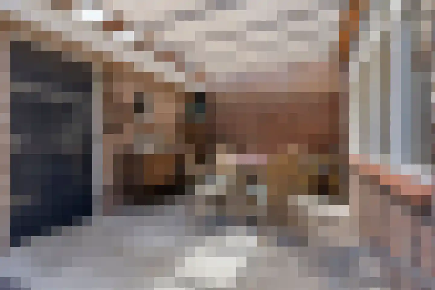 Hertenkampstraat 20 Mierlo thumbnail 50