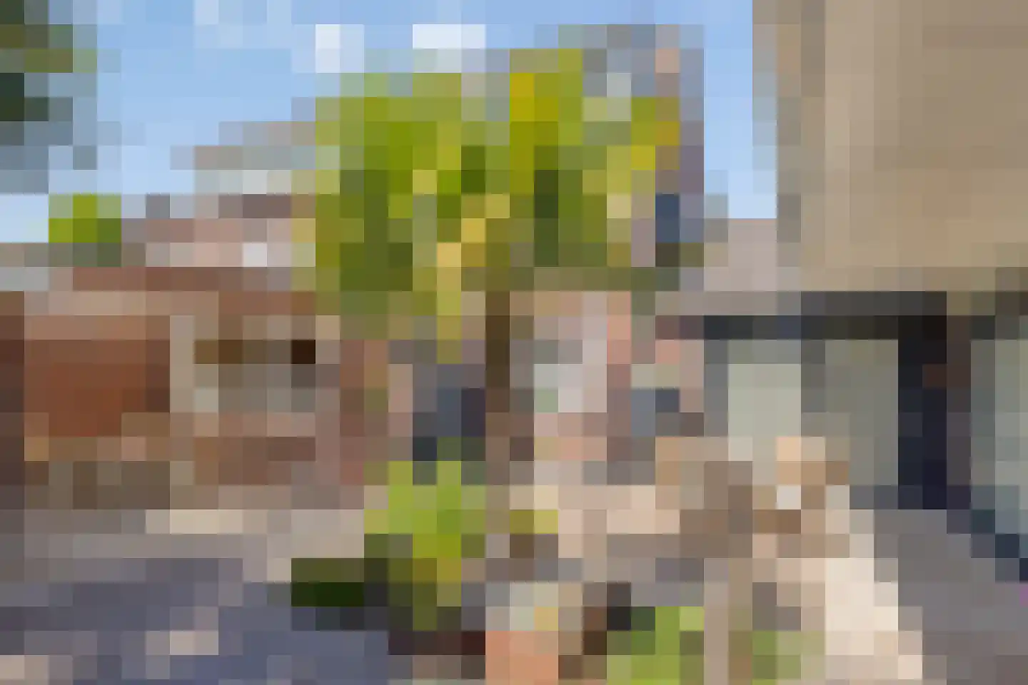 Hertenkampstraat 20 Mierlo thumbnail 53