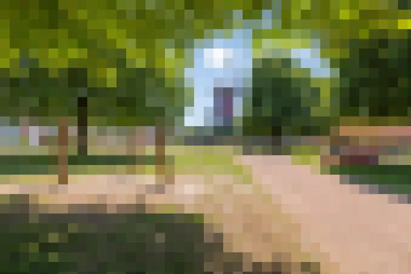 Hertenkampstraat 20 Mierlo thumbnail 59