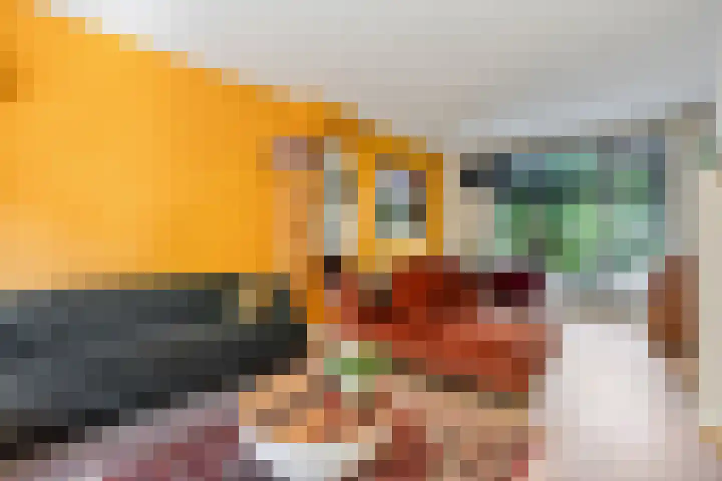Hertenkampstraat 28 Mierlo thumbnail 11