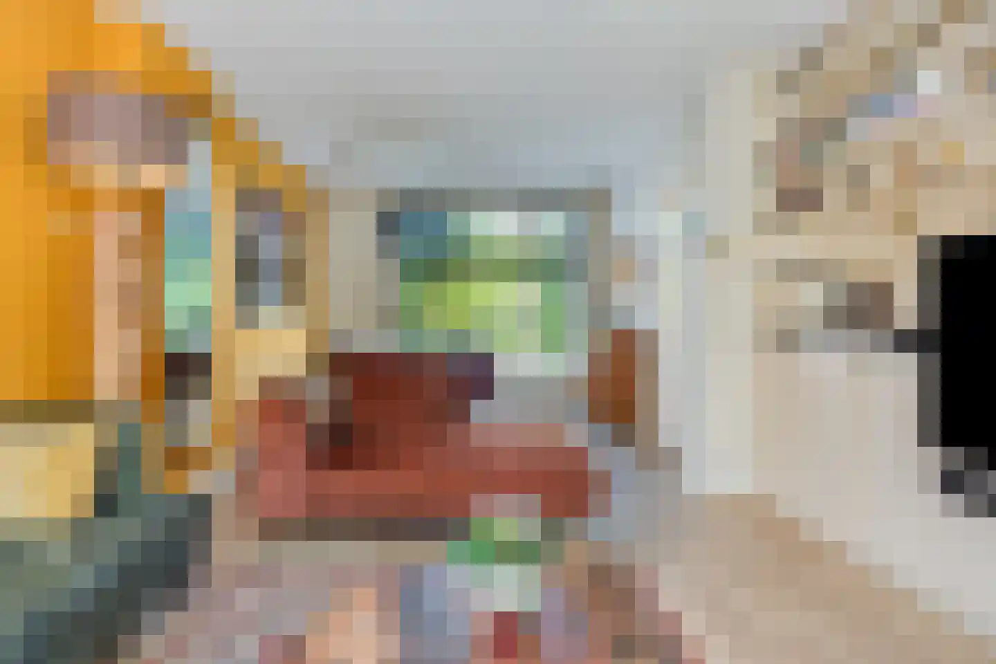 Hertenkampstraat 28 Mierlo thumbnail 12