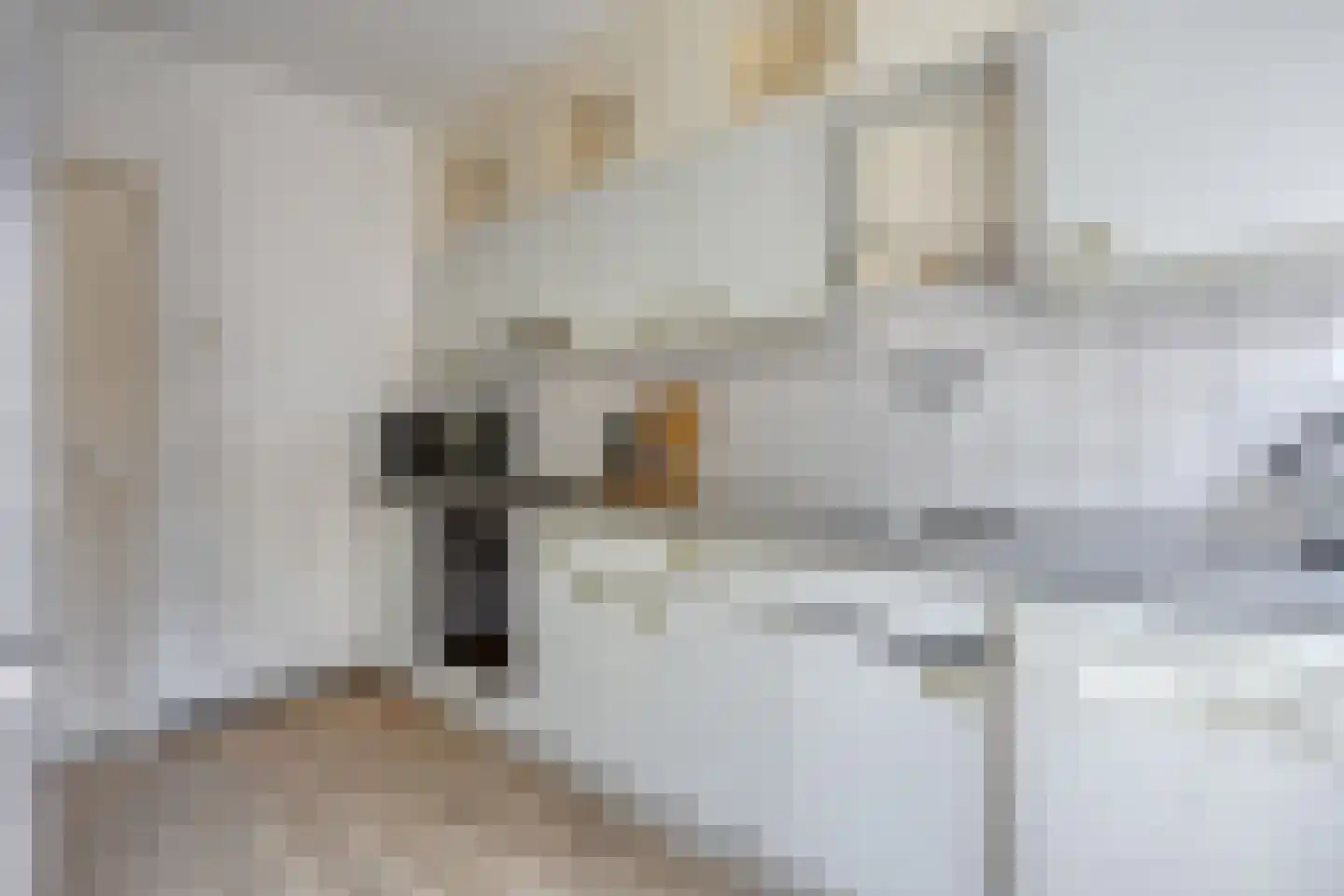 Hertenkampstraat 28 Mierlo thumbnail 16