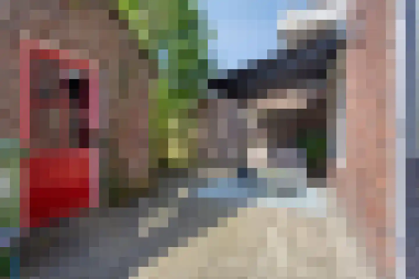 Hertenkampstraat 28 Mierlo thumbnail 17