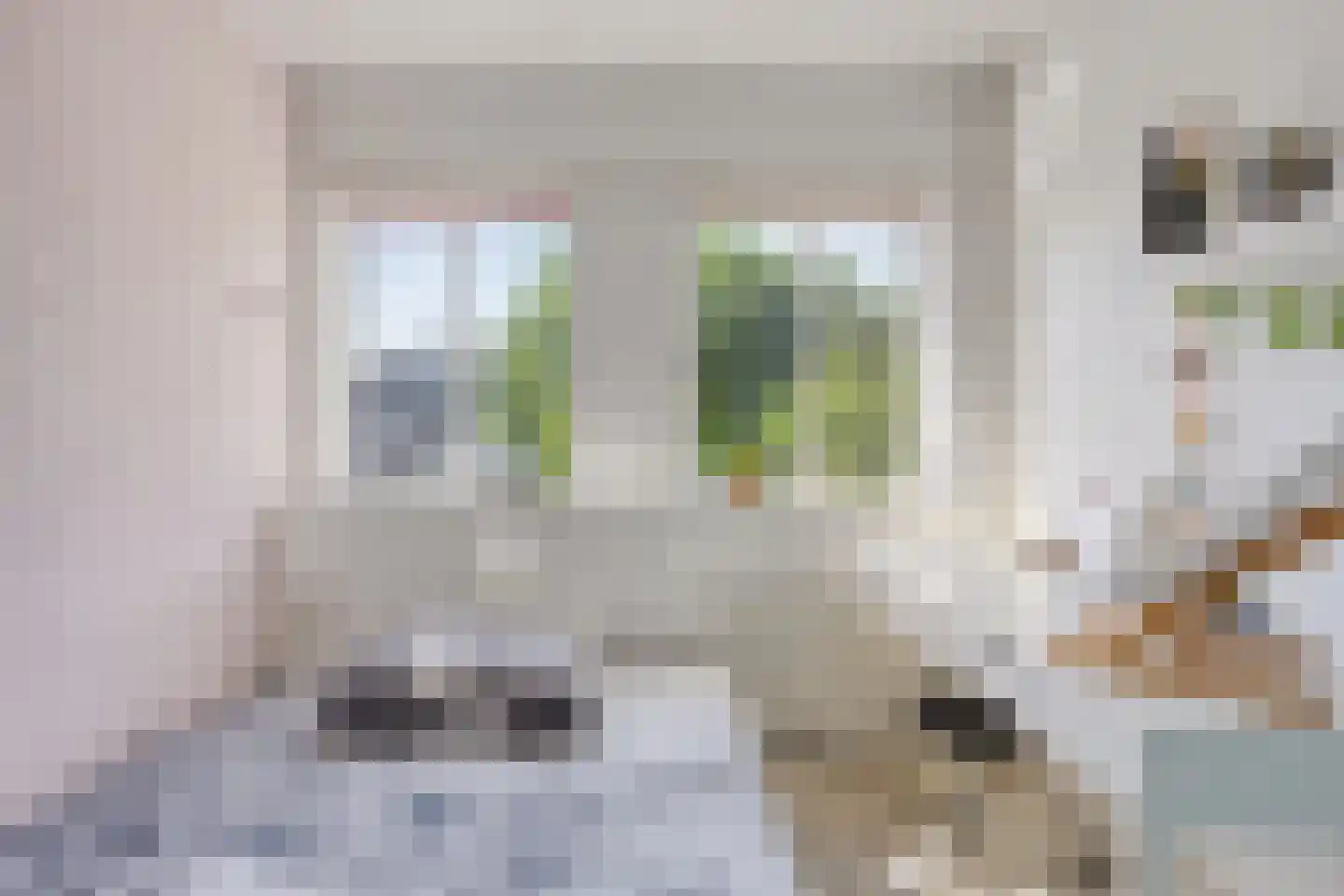 Hertenkampstraat 28 Mierlo thumbnail 22