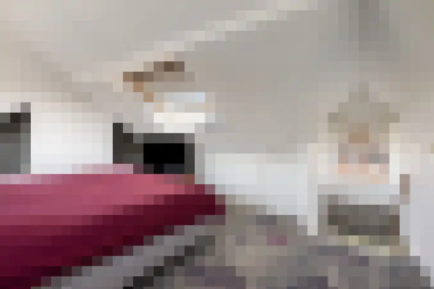 Hertenkampstraat 28 Mierlo thumbnail 29