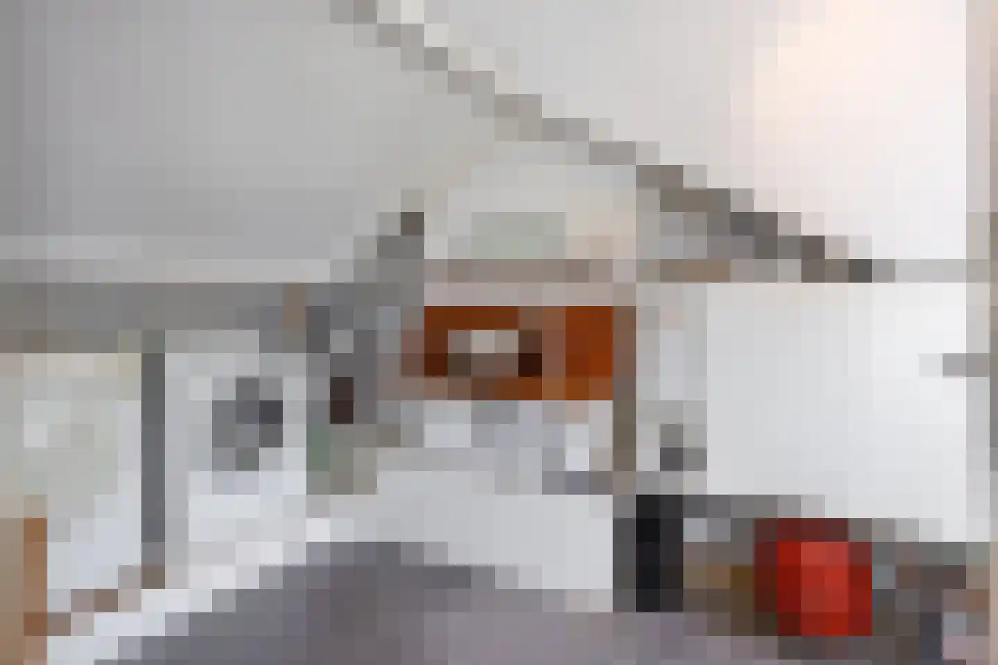 Hertenkampstraat 28 Mierlo thumbnail 30