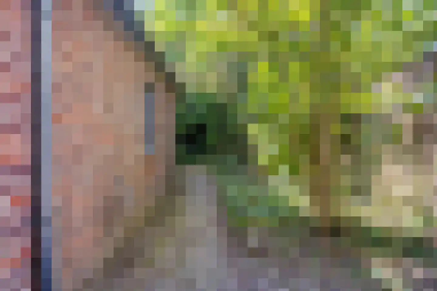 Hertenkampstraat 28 Mierlo thumbnail 33