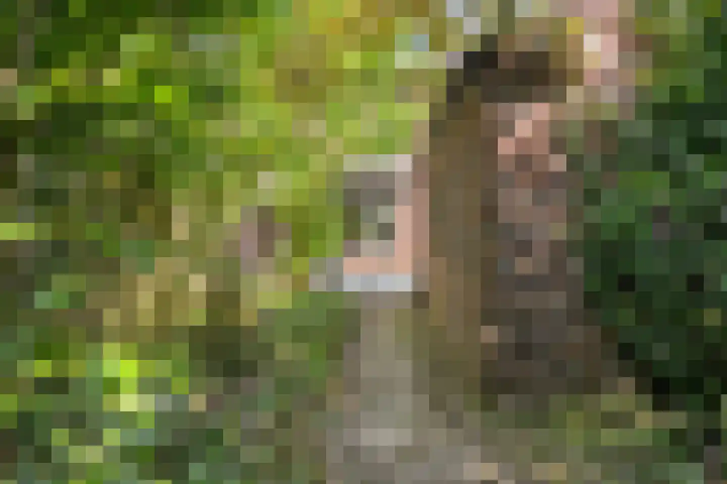 Hertenkampstraat 28 Mierlo thumbnail 34