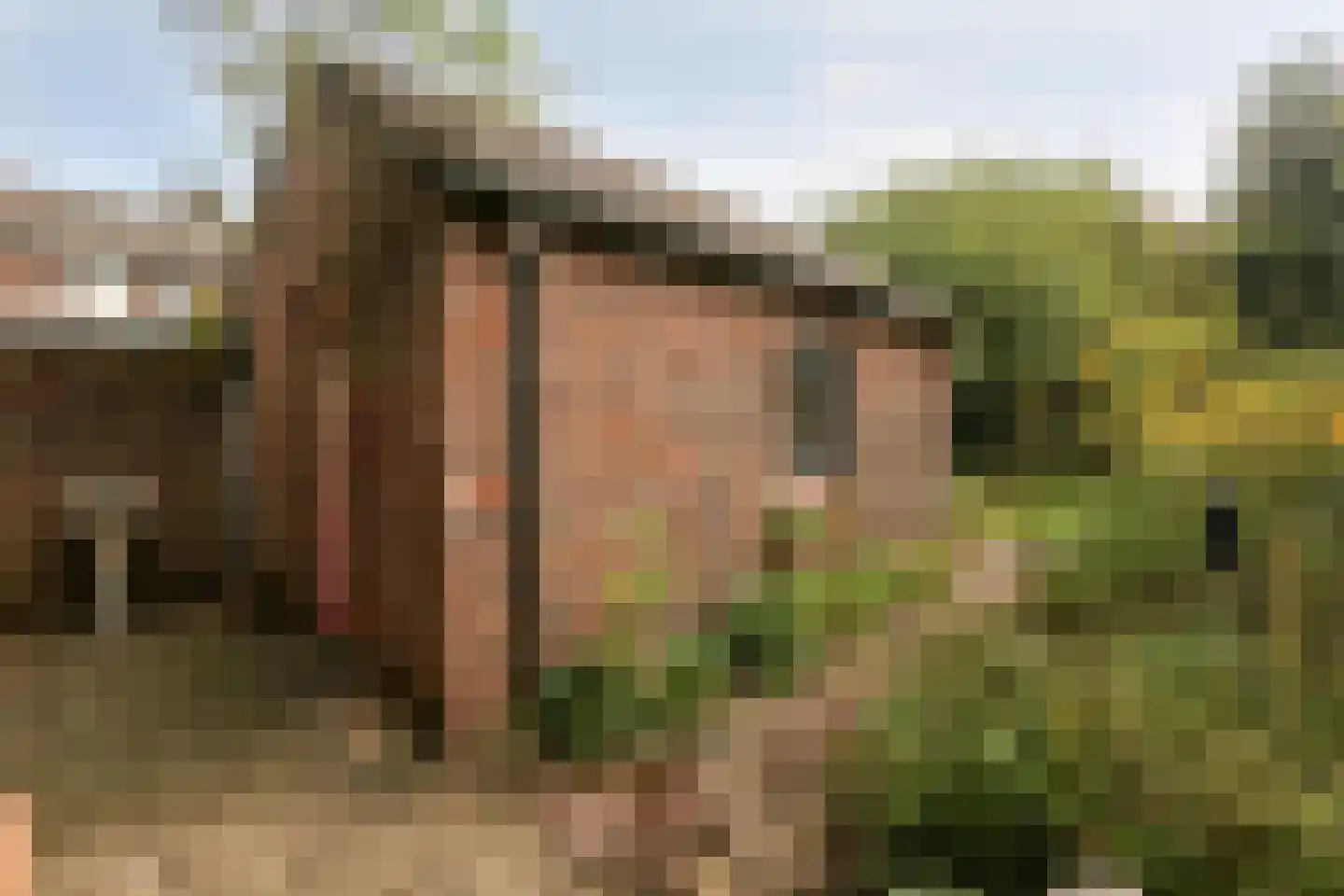 Hertenkampstraat 28 Mierlo thumbnail 35