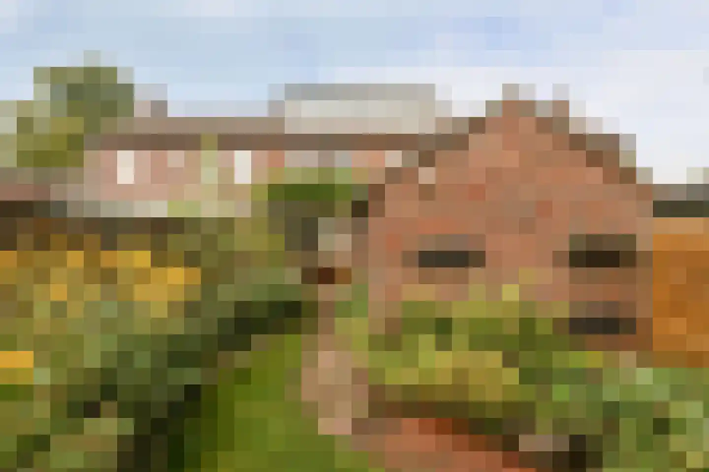 Hertenkampstraat 28 Mierlo thumbnail 37