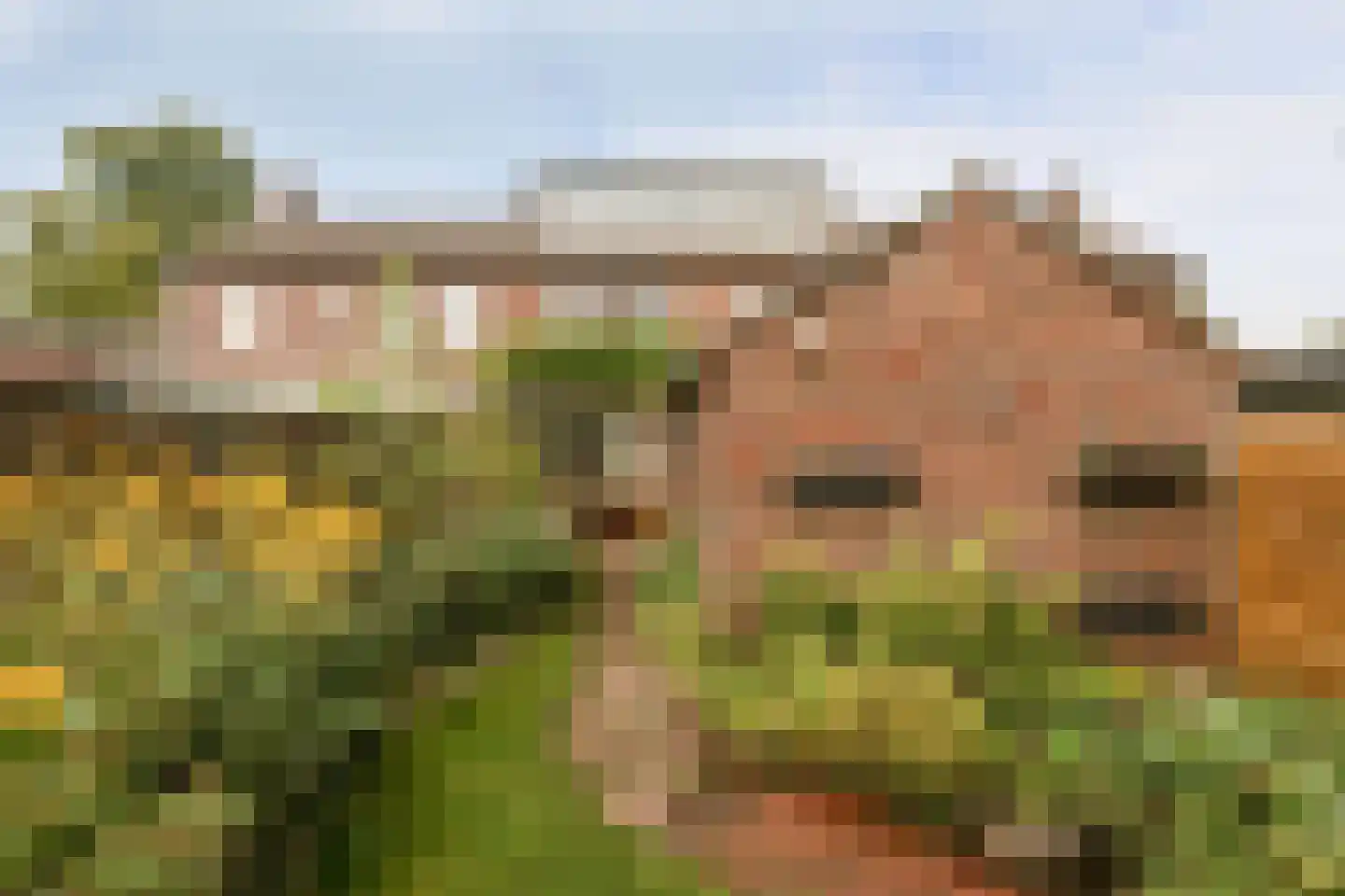 Hertenkampstraat 28 Mierlo thumbnail 37