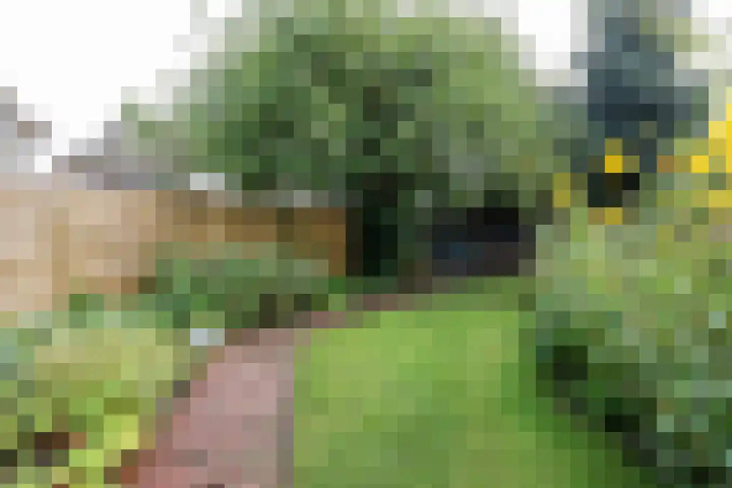 Hertenkampstraat 28 Mierlo thumbnail 38