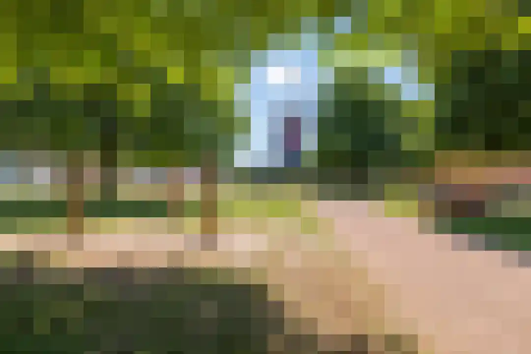 Hertenkampstraat 28 Mierlo thumbnail 39
