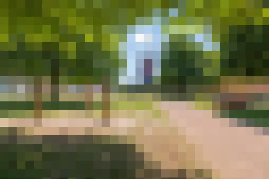 Hertenkampstraat 28 Mierlo thumbnail 39