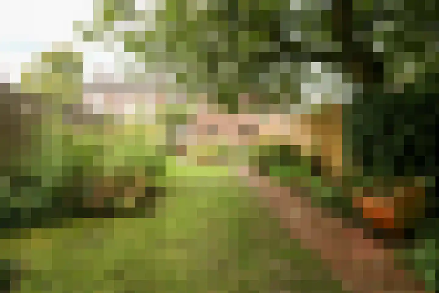 Hertenkampstraat 28 Mierlo thumbnail 5
