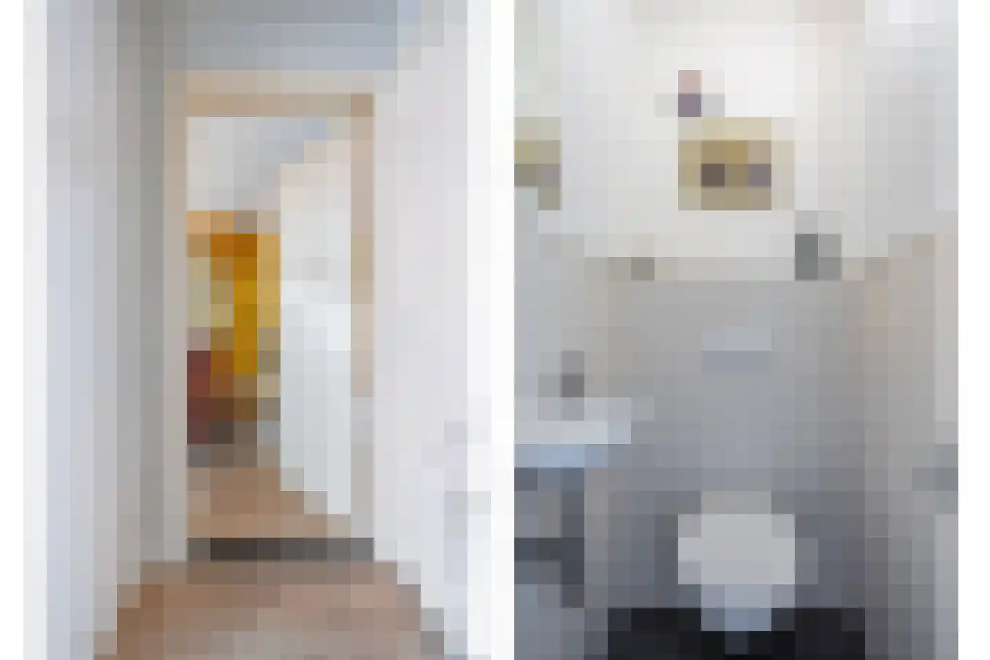 Hertenkampstraat 28 Mierlo thumbnail 8