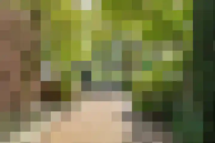 Hertenkampstraat 9 Veendam thumbnail 10