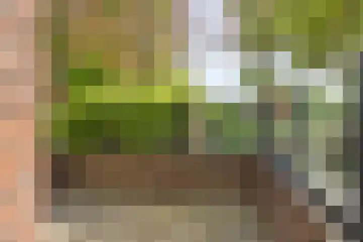 Hertenkampstraat 9 Veendam thumbnail 21