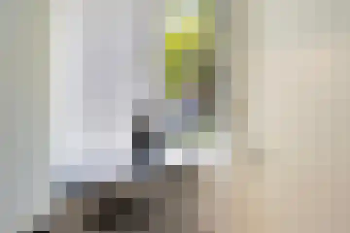 Hertenkampstraat 9 Veendam thumbnail 27