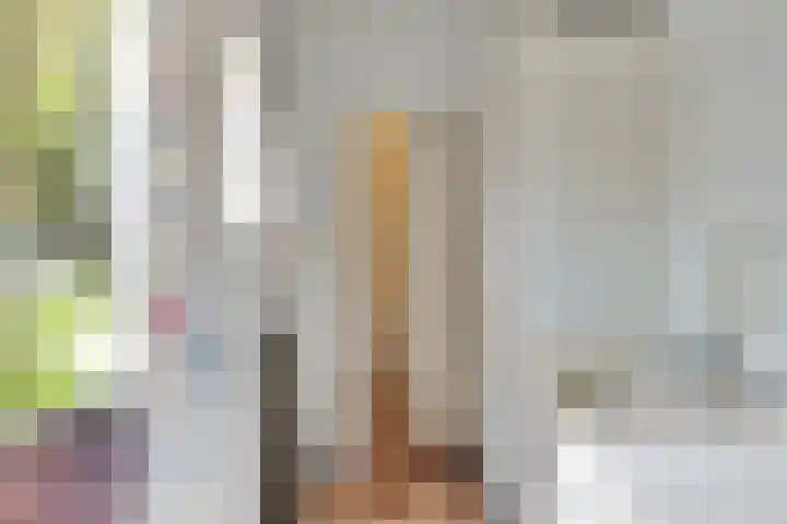 Hertenkampstraat 9 Veendam thumbnail 29