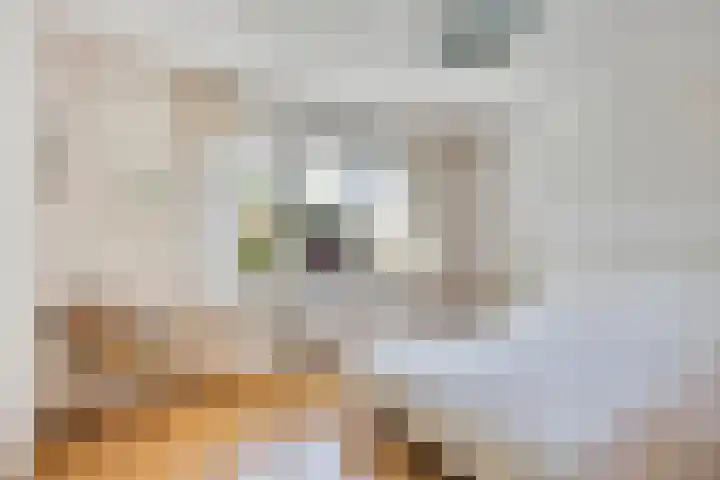 Hertenkampstraat 9 Veendam thumbnail 31