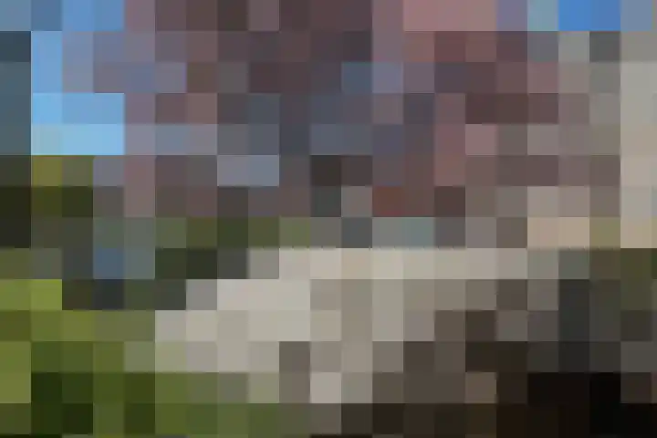 Hertenkampstraat 9 Veendam thumbnail 4