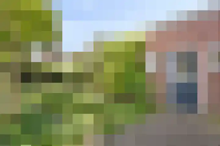 Hertenkampstraat 9 Veendam thumbnail 45