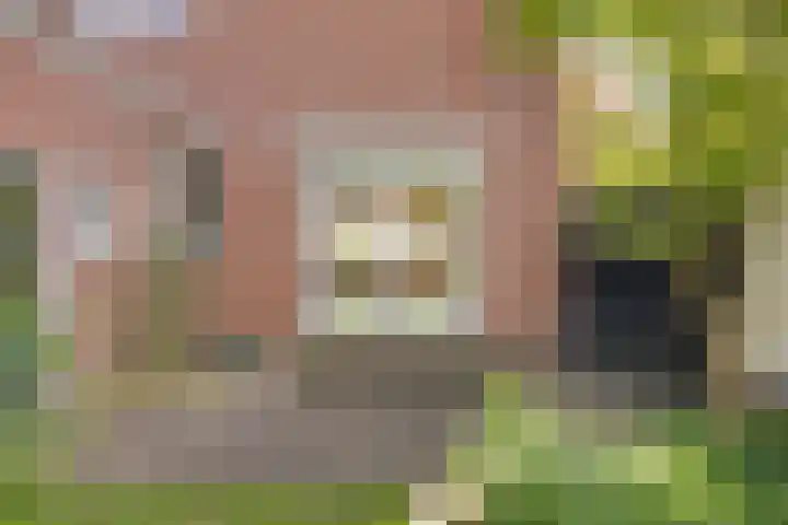 Hertenkampstraat 9 Veendam thumbnail 47