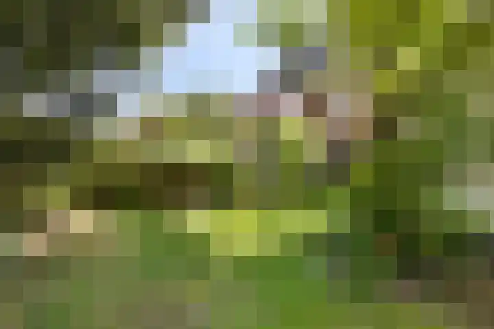 Hertenkampstraat 9 Veendam thumbnail 48