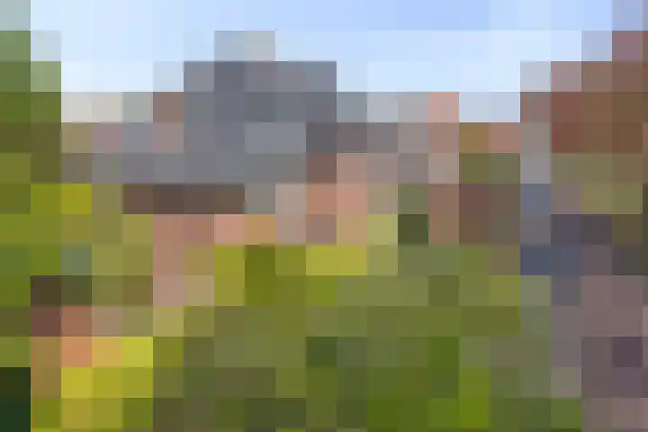 Hertenkampstraat 9 Veendam thumbnail 5