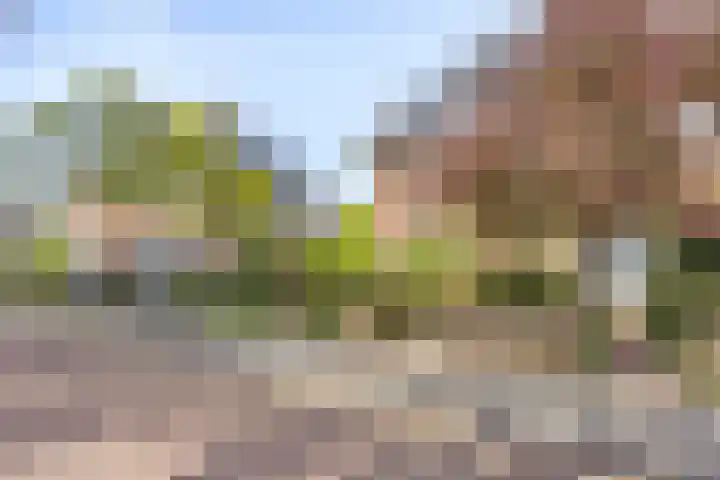 Hertenkampstraat 9 Veendam thumbnail 6