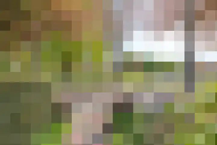 Hertenkampstraat 9 Veendam thumbnail 7