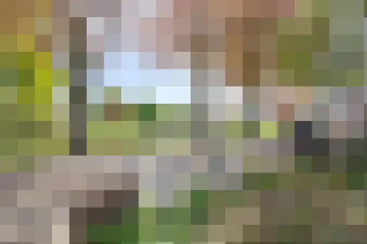 Hertenkampstraat 9 Veendam thumbnail 8