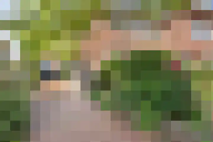 Hertenkampstraat 9 Veendam thumbnail 9