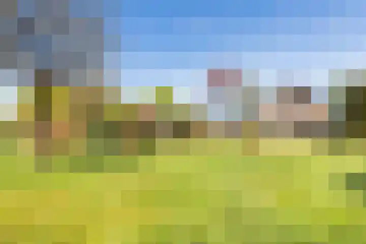 Hertenkampsweg 22 Vaassen thumbnail 10