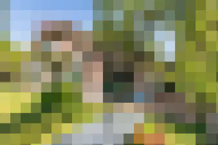 Hertenkampsweg 22 Vaassen thumbnail 11