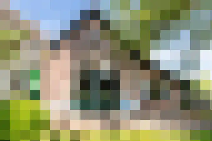 Hertenkampsweg 22 Vaassen thumbnail 12