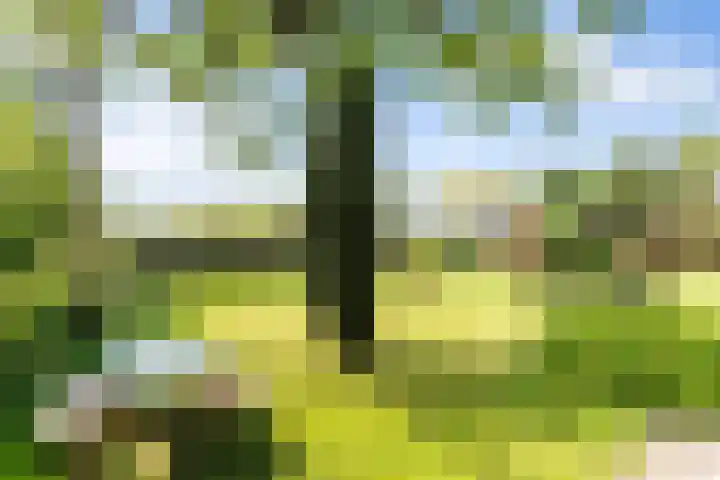 Hertenkampsweg 22 Vaassen thumbnail 13