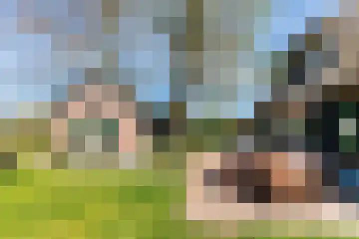 Hertenkampsweg 22 Vaassen thumbnail 15