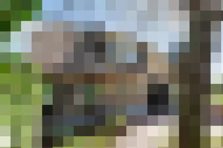 Hertenkampsweg 22 Vaassen thumbnail 19