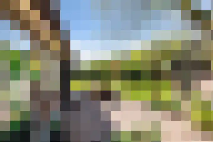 Hertenkampsweg 22 Vaassen thumbnail 20